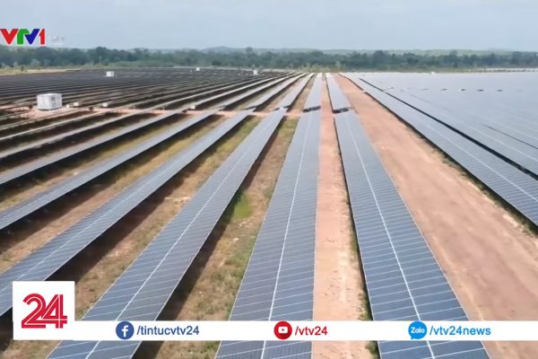 Cận cảnh cánh đồng pin năng lượng mặt trời